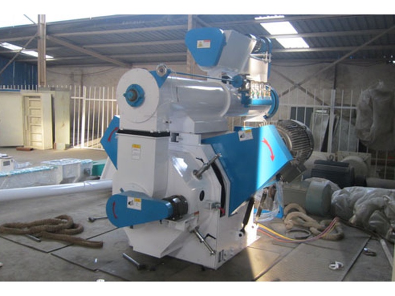 V-belt wood straw pellet mill Europe